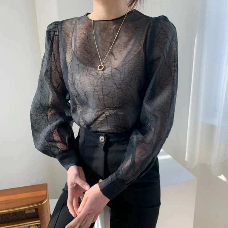 Korean Fashion Summer Long-sleeved Mesh Pleated T-shirt Sexy Sweet Mesh Micro-through Top Women's Clothing T Shirt for Women
Korean Fashion Summer Long-sleeved Mesh Pleated T-shirt Sexy Sweet Mesh Micro-through Top Women's Clothing T Shirt for Women