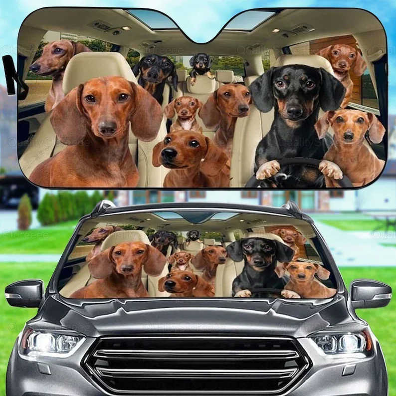 Funny Dachshunds Car Sunshade, Dogs Family Sunshade, Dog Car Accessories, Car Decoration, Dachshunds Lover, Gift Owner Dog LNG18
Funny Dachshunds Car Sunshade, Dogs Family Sunshade, Dog Car Accessories, Car Decoration, Dachshunds Lover, Gift Owner Dog LNG18