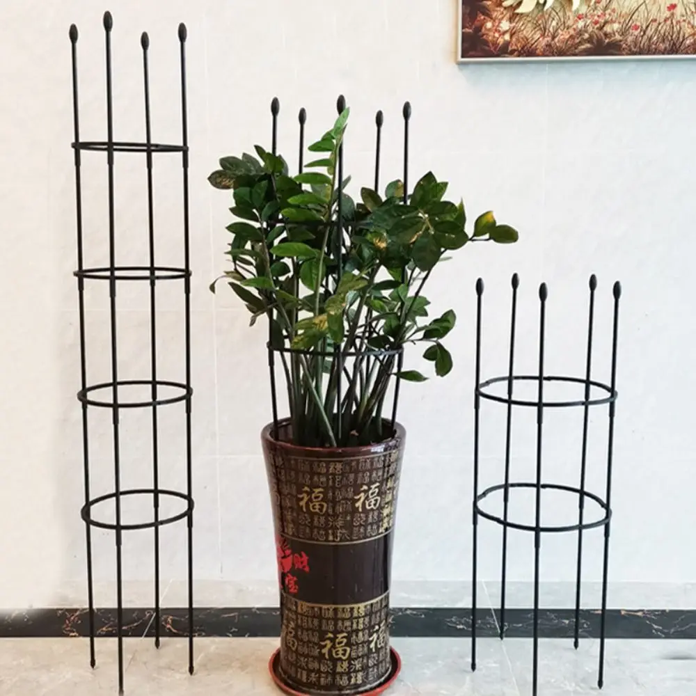Stackable Garden Trellis Plastic Infinitely Spliceable Rustproof Trellis Climbing Plants Vertical Climbing Plant Support Trellis
Stackable Garden Trellis Plastic Infinitely Spliceable Rustproof Trellis Climbing Plants Vertical Climbing Plant Support Trellis