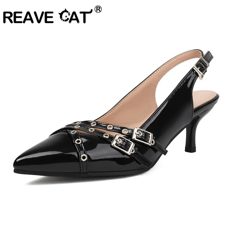 

REAVE CAT Office Lady Shoes Pointed Toe 6.5cm Small Heels Rivets Buckles Back Strap Brand Design Women Pumps Big Size 40 41 42 4