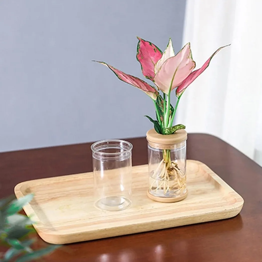 Plant Care Plant Pots Tool Yard Accessories Clear Flower Pot Garden Outdoor Living 2PCS For Grow Hydroponic PET
Plant Care Plant Pots Tool Yard Accessories Clear Flower Pot Garden Outdoor Living 2PCS For Grow Hydroponic PET