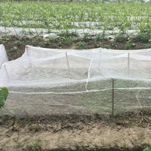Garden Vegetable Insect Net Cover Plant Flower Care Protection Network Bird Insect Pest Prevention Control Mesh 10M Long
Garden Vegetable Insect Net Cover Plant Flower Care Protection Network Bird Insect Pest Prevention Control Mesh 10M Long