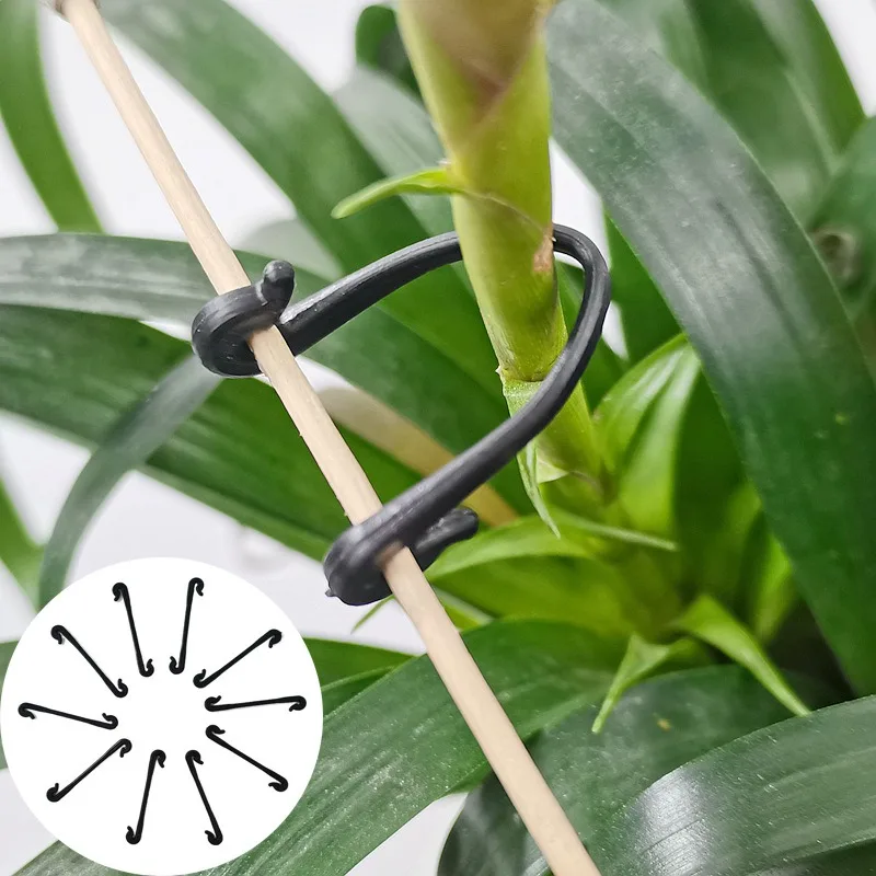 50 Sets of Gardening Tie and String Grape and String Tie Divider Vine and Clip Good and String Tie
50 Sets of Gardening Tie and String Grape and String Tie Divider Vine and Clip Good and String Tie
