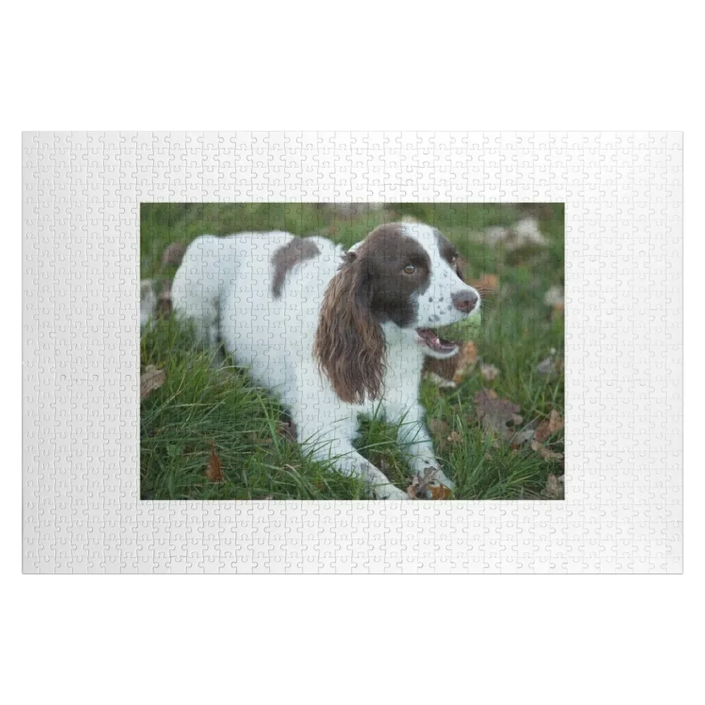Springer Spaniel 11 Jigsaw Puzzle Customized Picture Personalized Toy Wooden Jigsaws For Adults Puzzle
Springer Spaniel 11 Jigsaw Puzzle Customized Picture Personalized Toy Wooden Jigsaws For Adults Puzzle