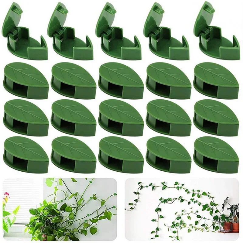 10-40PCS Self-Adhesive Plant Climbing Wall Fixture Clips Invisible Vines Fixing Snap Hook Support Garden Wall Fixer Wire Tools
10-40PCS Self-Adhesive Plant Climbing Wall Fixture Clips Invisible Vines Fixing Snap Hook Support Garden Wall Fixer Wire Tools