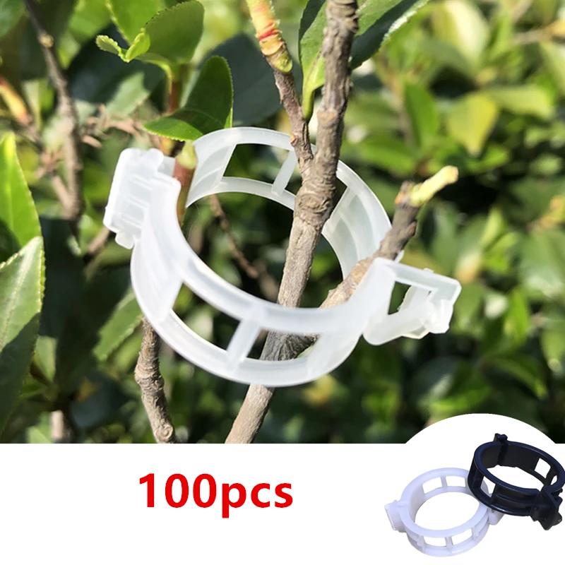 

Plastic Plant Clips, Supports Connects, Reusable Protection, Grafting Fixing Tool, Gardening Supplies for Vegetable, Tomato