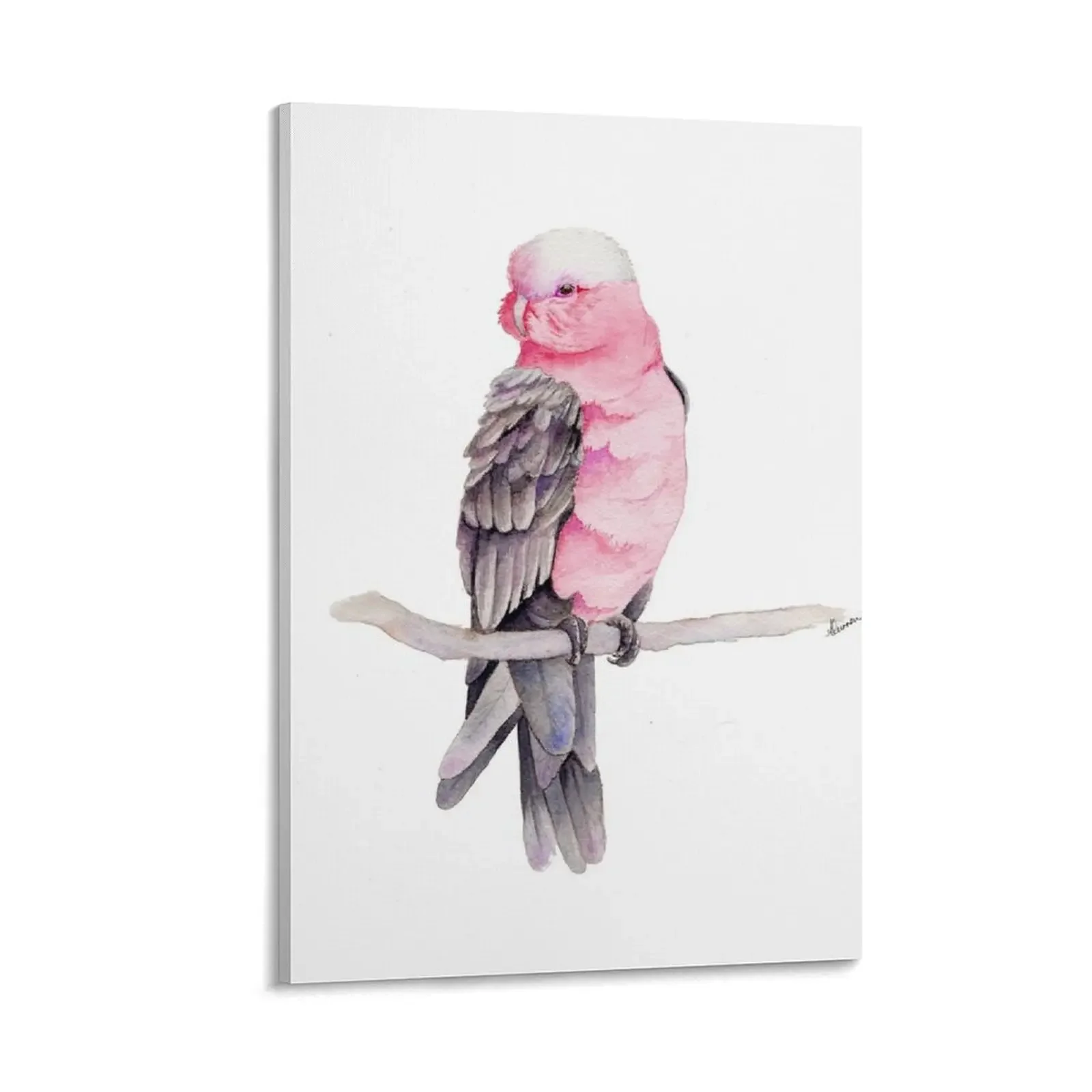 Australian Galah Canvas Painting Paintings for bedroom painting nordic home decor vintage home decor
Australian Galah Canvas Painting Paintings for bedroom painting nordic home decor vintage home decor