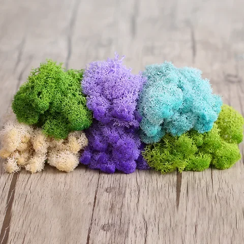 20g High Quality Artificial Moss Immortal Moss Simulation Green Plant Grass Home Decorative Wall DIY Micro Landscape Accessories
20g High Quality Artificial Moss Immortal Moss Simulation Green Plant Grass Home Decorative Wall DIY Micro Landscape Accessories