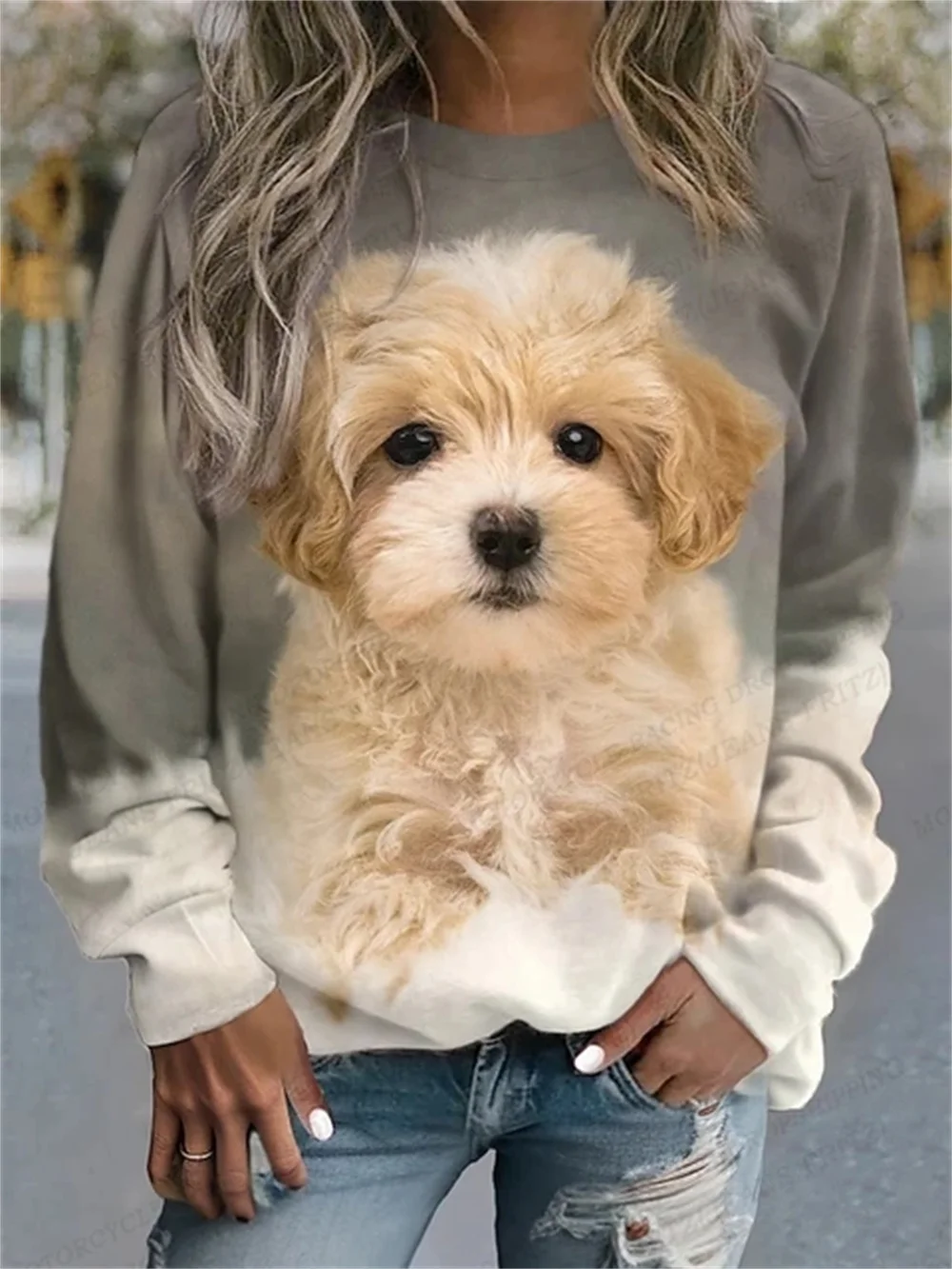 Spring and Autumn Women's Casual t shirt 3D Cute Cat Print Loose Long Sleeve O-Neck Fashion Small Fresh Harajuku Women's Top
Spring and Autumn Women's Casual t shirt 3D Cute Cat Print Loose Long Sleeve O-Neck Fashion Small Fresh Harajuku Women's Top