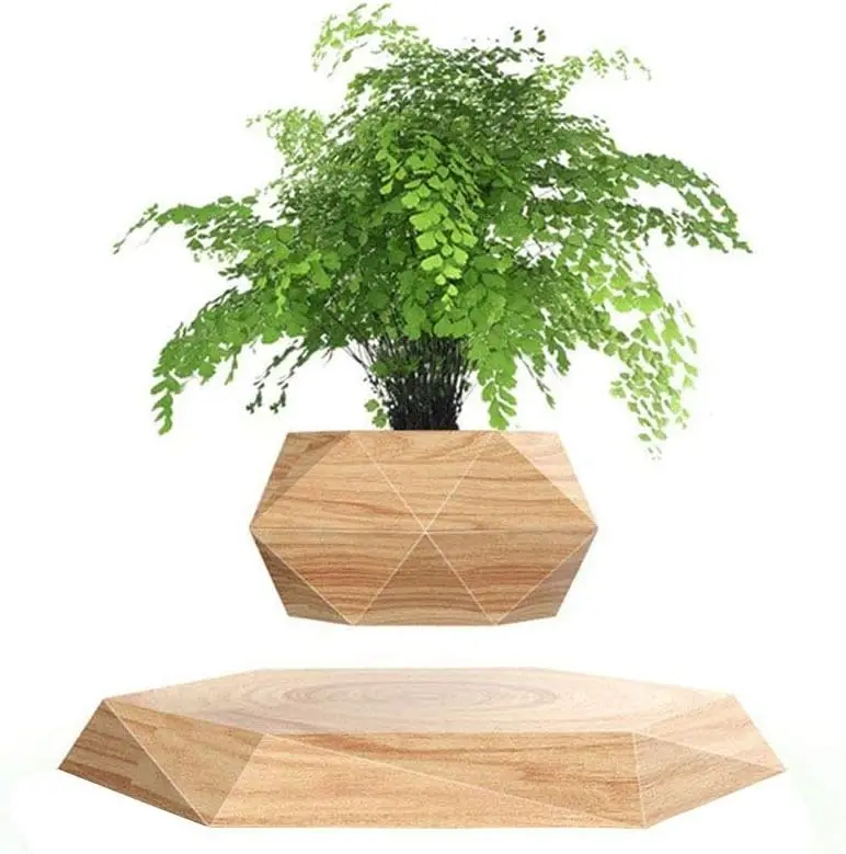 Plant Pot Hexagon Floating Air Bonsai Pot Suspension Flower Pot Planter for Office Home Decoration Garden decoration outdoor Gar
Plant Pot Hexagon Floating Air Bonsai Pot Suspension Flower Pot Planter for Office Home Decoration Garden decoration outdoor Gar
