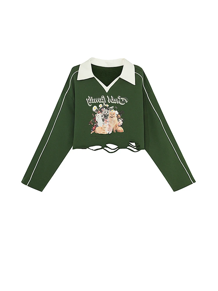 Женский свитшот с длинным рукавом, зеленый свитшот с графическим принтом в стиле Харадзюку, винтажный пуловер в Корейском стиле 90-х годов, одежда на осень, 2000
Женский свитшот с длинным рукавом, зеленый свитшот с графическим принтом в стиле Харадзюку, винтажный пуловер в Корейском стиле 90-х годов, одежда на осень, 2000