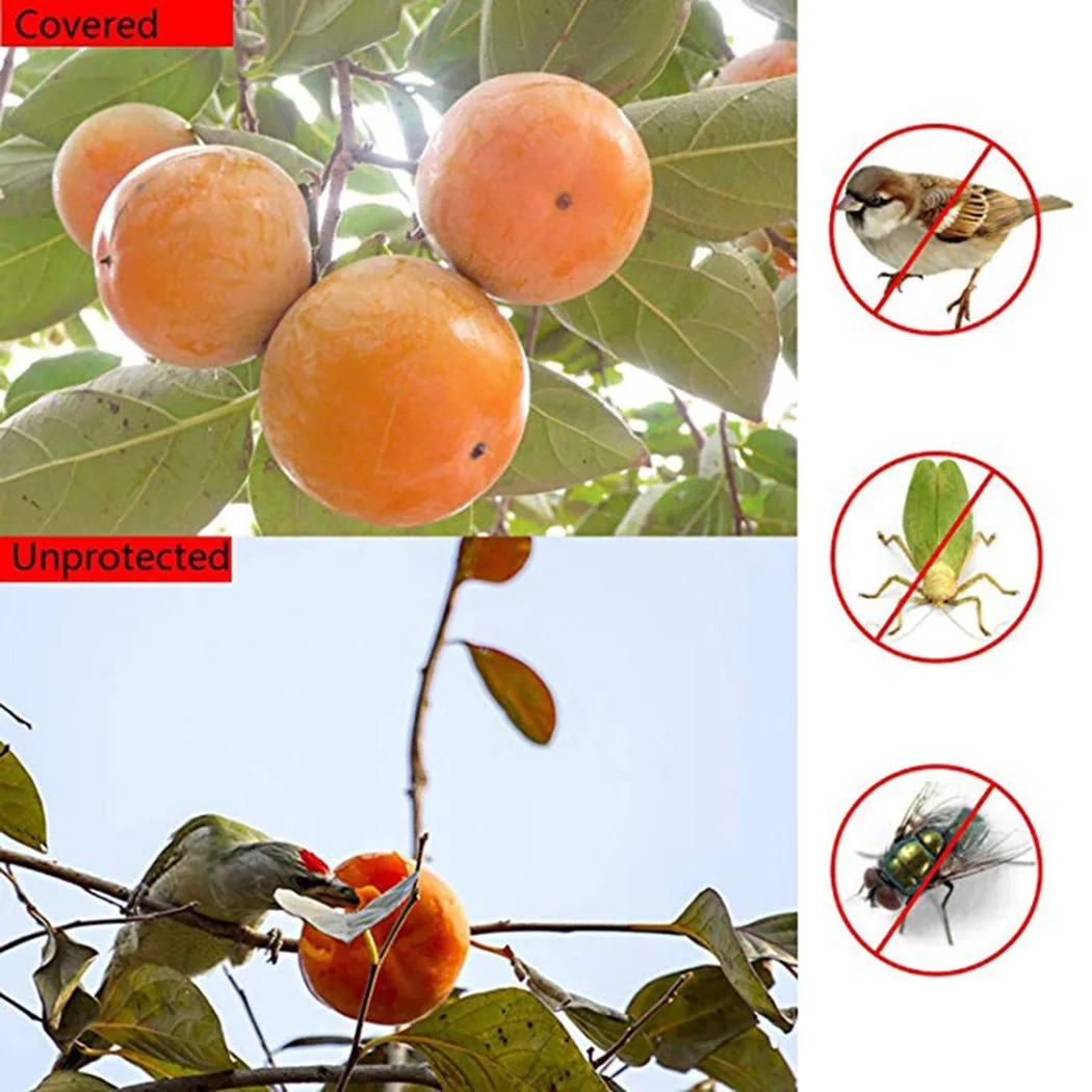 Pouch Insect Kits Grape Protection Bags Protect Net Bags Protection 50Pcs Accessories Bird Fruit Garden Insects
Pouch Insect Kits Grape Protection Bags Protect Net Bags Protection 50Pcs Accessories Bird Fruit Garden Insects