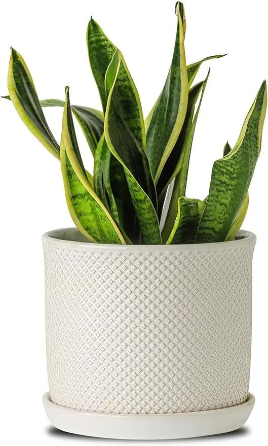 

8 Inch Plant Pots: Planter Pot with Drainage Hole & Saucer -Ceramic Planters for Indoor/Outdoor Plants - Flower Pots Bonded Tray