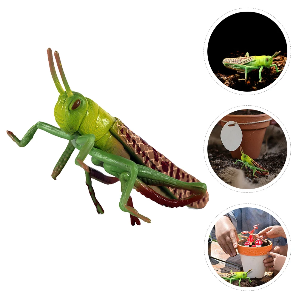 Locust Animal Model Toddler Christmas Sto Educational Toy Plastic Kids Playthings
Locust Animal Model Toddler Christmas Sto Educational Toy Plastic Kids Playthings