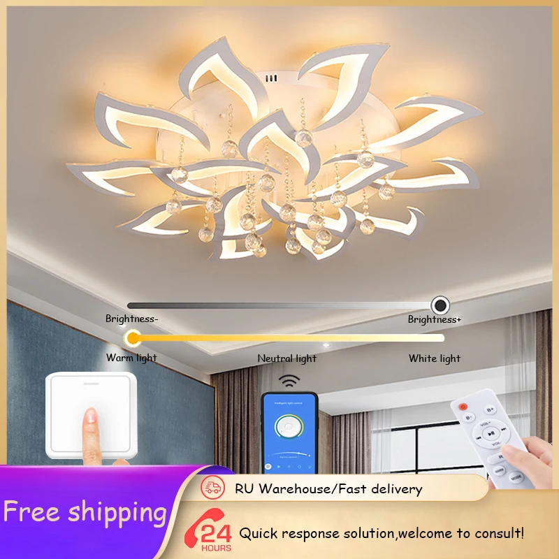 Modern ceiling chandelier bedroom LED chandelier living room ceiling light dining room light kitchen home decor ceiling lamps
Modern ceiling chandelier bedroom LED chandelier living room ceiling light dining room light kitchen home decor ceiling lamps