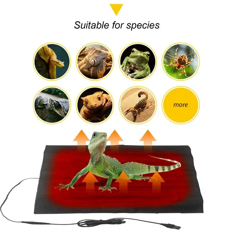 Terrarium Reptiles Heat Mat Climbing Pet Heating Warm Pads Adjustable Temperature Controller Mats Reptiles Supplies Dustproof
Terrarium Reptiles Heat Mat Climbing Pet Heating Warm Pads Adjustable Temperature Controller Mats Reptiles Supplies Dustproof