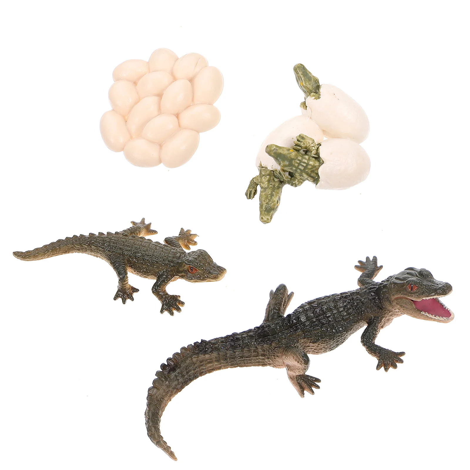 

Crocodile Life Cycle Wild Wildlife Figures Creatures Action Models Alligator Figure Ornament Cognitive Party Favor 1 Set