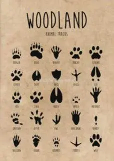 Metal Sign Animal Tracks Tin Sign Bar Home Decoration New Year The Best Gift for Parents, So That Children Can Gain
Metal Sign Animal Tracks Tin Sign Bar Home Decoration New Year The Best Gift for Parents, So That Children Can Gain