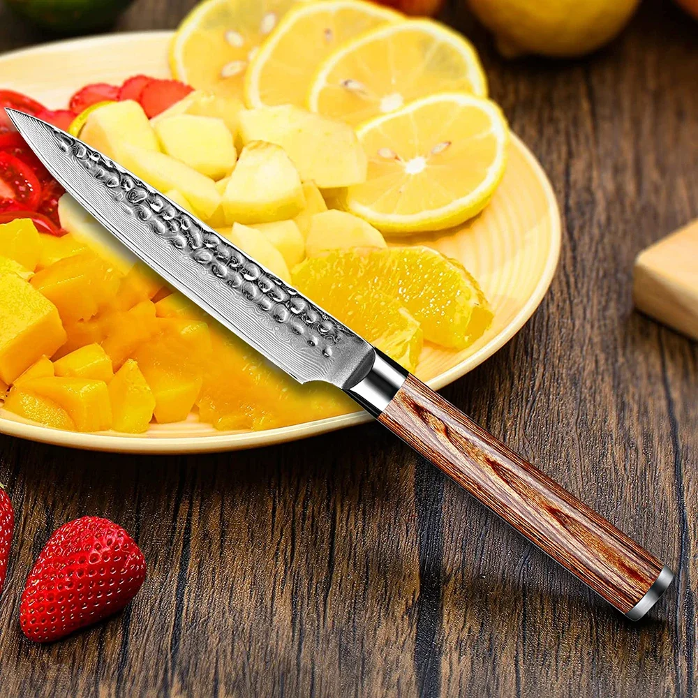 Damascus Steel Chef Utility Knife 5 Inch Japanese Kitchen Knife Ultra Sharp Damascus Paring Knives Hammer Non-Stick Fruit Knife
Damascus Steel Chef Utility Knife 5 Inch Japanese Kitchen Knife Ultra Sharp Damascus Paring Knives Hammer Non-Stick Fruit Knife