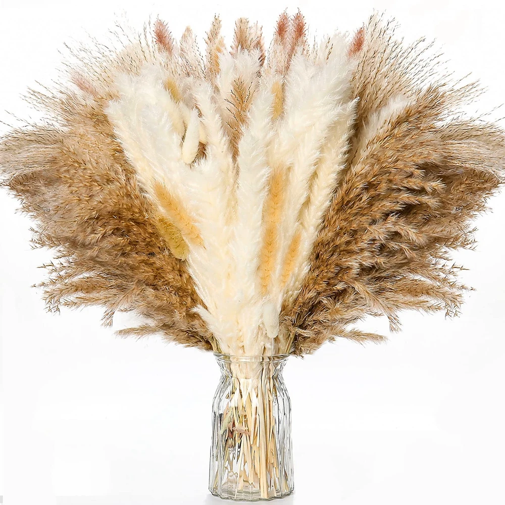 Dried Flowers Pampas Grass Decor Tall White Pampas Grass Dry Flowers Dried Pampas Grass Pampas Dried Flower Bouquet
Dried Flowers Pampas Grass Decor Tall White Pampas Grass Dry Flowers Dried Pampas Grass Pampas Dried Flower Bouquet