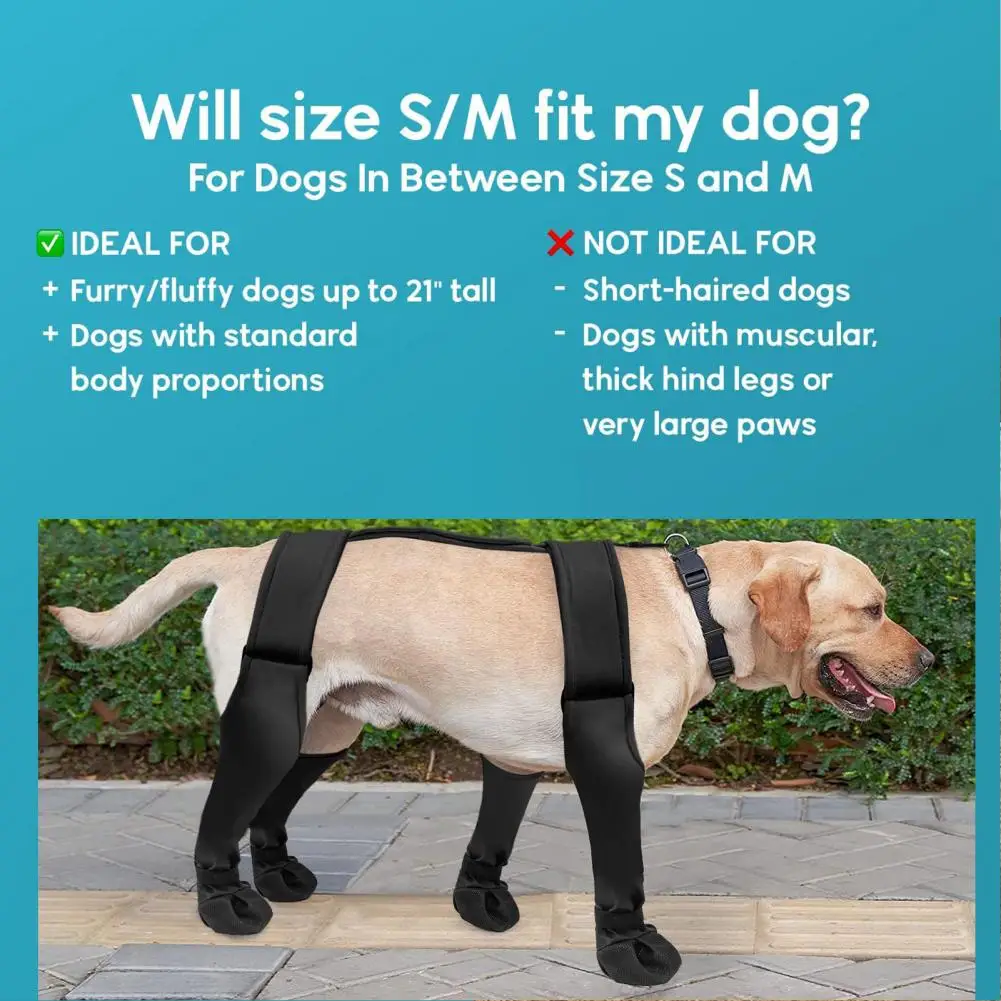 Slip-resistant Dog Shoes Waterproof Dog Suspender Boots for Winter Snow Hiking Anti-slip Fall Dog Shoes Leggings with for Rain
Slip-resistant Dog Shoes Waterproof Dog Suspender Boots for Winter Snow Hiking Anti-slip Fall Dog Shoes Leggings with for Rain