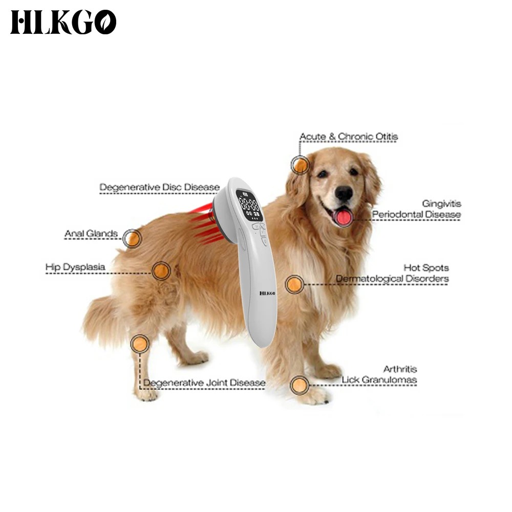Pain Relief Low Level Laser Therapy LLLT 808nm 650nm Device Muscle Arthritic Pain Sciatic Pain Prostate Menstrual Period Treat
Pain Relief Low Level Laser Therapy LLLT 808nm 650nm Device Muscle Arthritic Pain Sciatic Pain Prostate Menstrual Period Treat