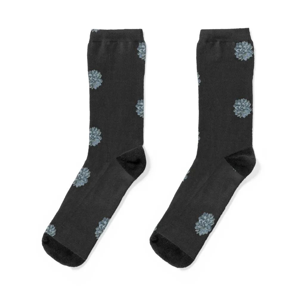 Succulent On Dark Grey. Colored pencils drawing. Socks winter gifts japanese fashion Girl'S Socks Men's
Succulent On Dark Grey. Colored pencils drawing. Socks winter gifts japanese fashion Girl'S Socks Men's