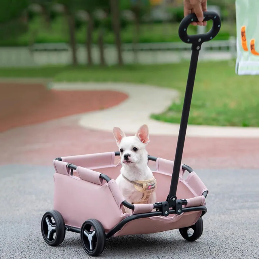 Designer Cat Carrier Cute Travel Portable Creative Breathable Cat Carrier Outdoor Canvas Trolley Wheeled Bolsa Pet Cat Carrier
Designer Cat Carrier Cute Travel Portable Creative Breathable Cat Carrier Outdoor Canvas Trolley Wheeled Bolsa Pet Cat Carrier