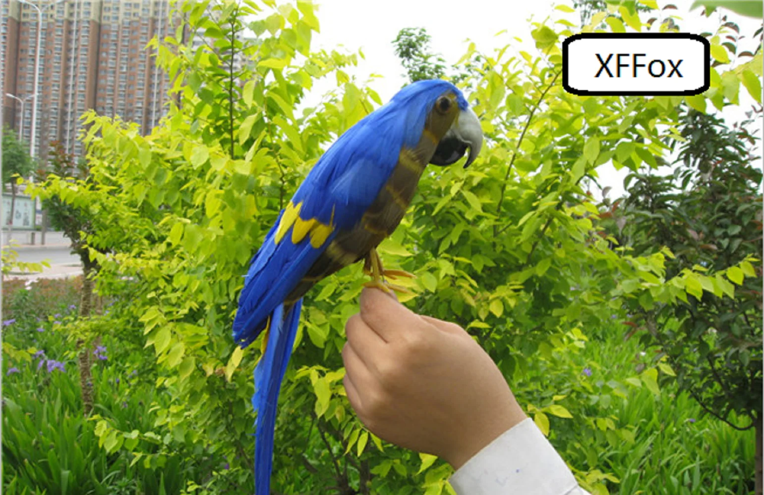 Новая модель голубого попугая реальной жизни пена и перо Budgerigar Птица Подарок около 30 см xf0092
Новая модель голубого попугая реальной жизни пена и перо Budgerigar Птица Подарок около 30 см xf0092