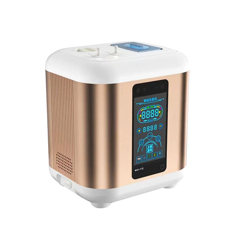 99.99% hydrogen machine health gas inhalation machine PEM hydrogen generator 900ml/min
99.99% hydrogen machine health gas inhalation machine PEM hydrogen generator 900ml/min