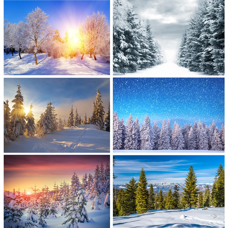 Winter Natural Scenery Photography Background Forest Snow Landscape Travel Photo Backdrops Studio Props 211121 DJXJ-02
Winter Natural Scenery Photography Background Forest Snow Landscape Travel Photo Backdrops Studio Props 211121 DJXJ-02