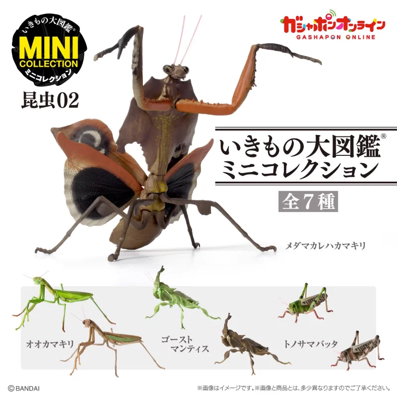 Капсульная игрушка Gashapon, миниатюрная модель мини-насекомых, дероплатис, кузнечик, фигурки, настольные украшения, подарки для детей
Капсульная игрушка Gashapon, миниатюрная модель мини-насекомых, дероплатис, кузнечик, фигурки, настольные украшения, подарки для детей