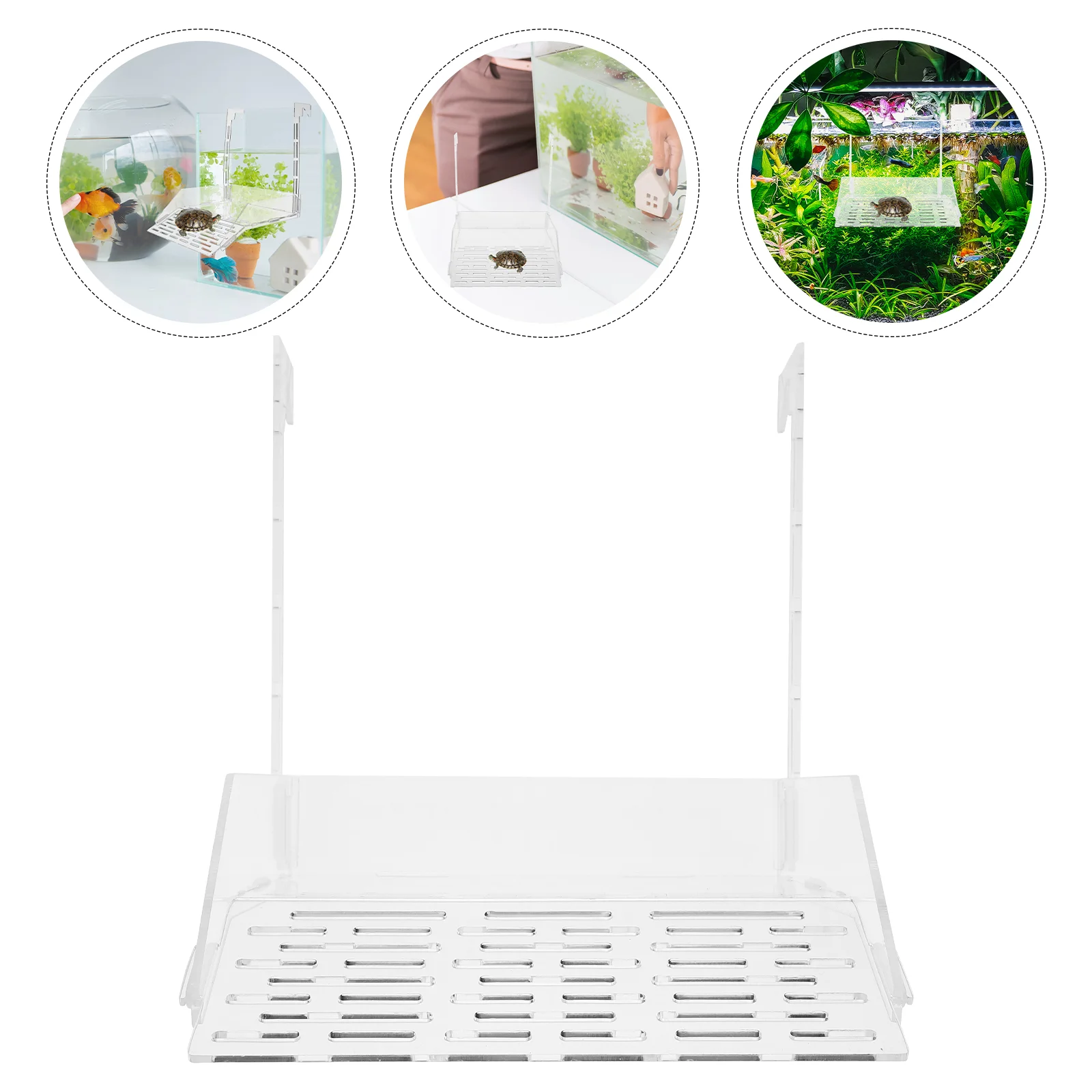 Portable Hanging Turtle Terrace Animal Reptisoil Acrylic Tortoise Floating Platform
Portable Hanging Turtle Terrace Animal Reptisoil Acrylic Tortoise Floating Platform