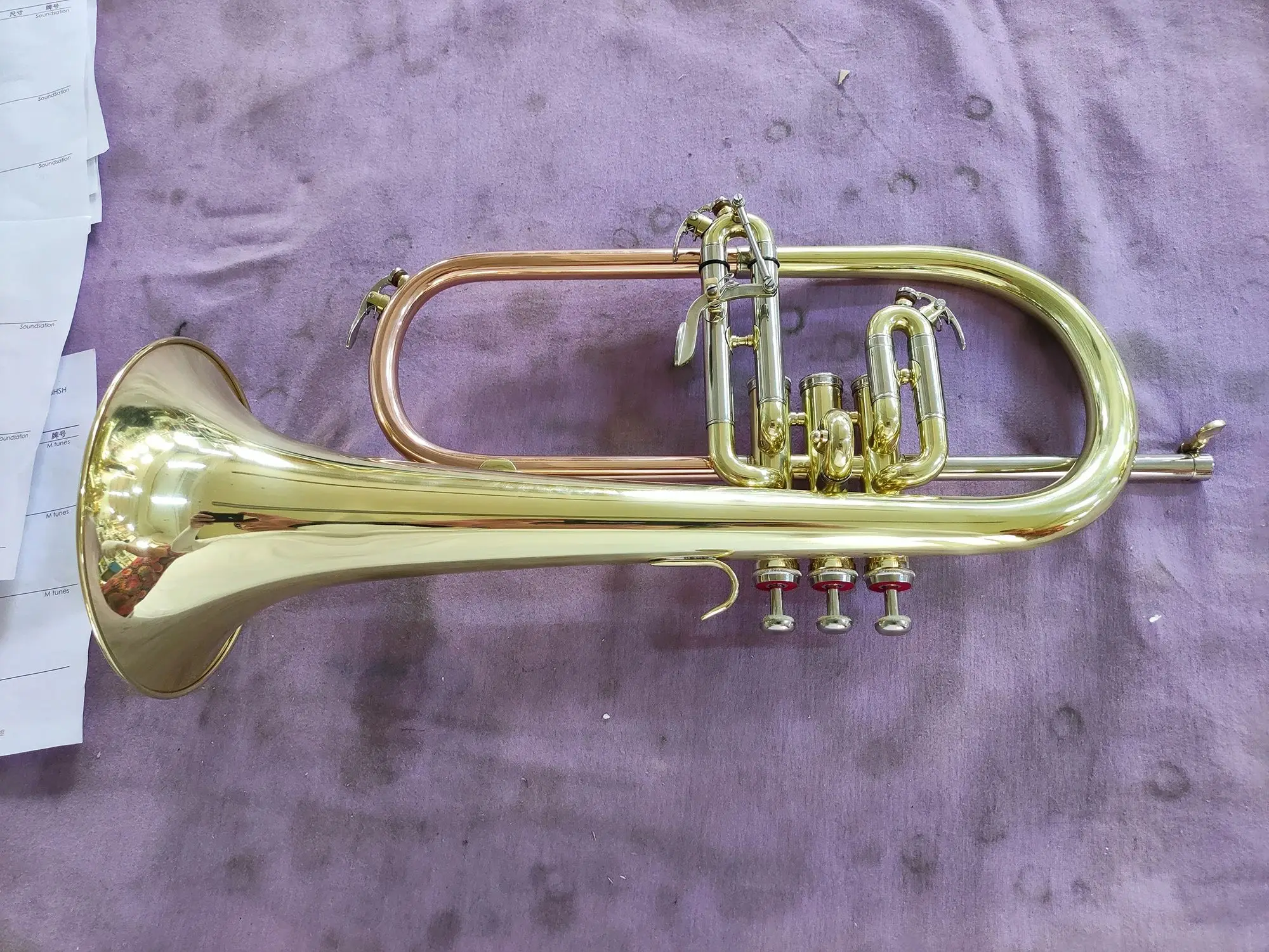 

Gold Lacquered Flugel Horn Bb Tone Flugelhorn Professional 11.3mm Bore Size(FG8610G)
