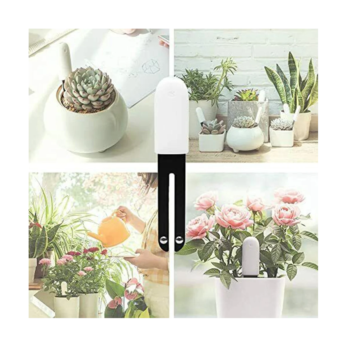 Flower Plant Monitor Soil Test Tracker Intelligent Bluetooth Monitor for Light Moisture Fertility Temperature Green
Flower Plant Monitor Soil Test Tracker Intelligent Bluetooth Monitor for Light Moisture Fertility Temperature Green