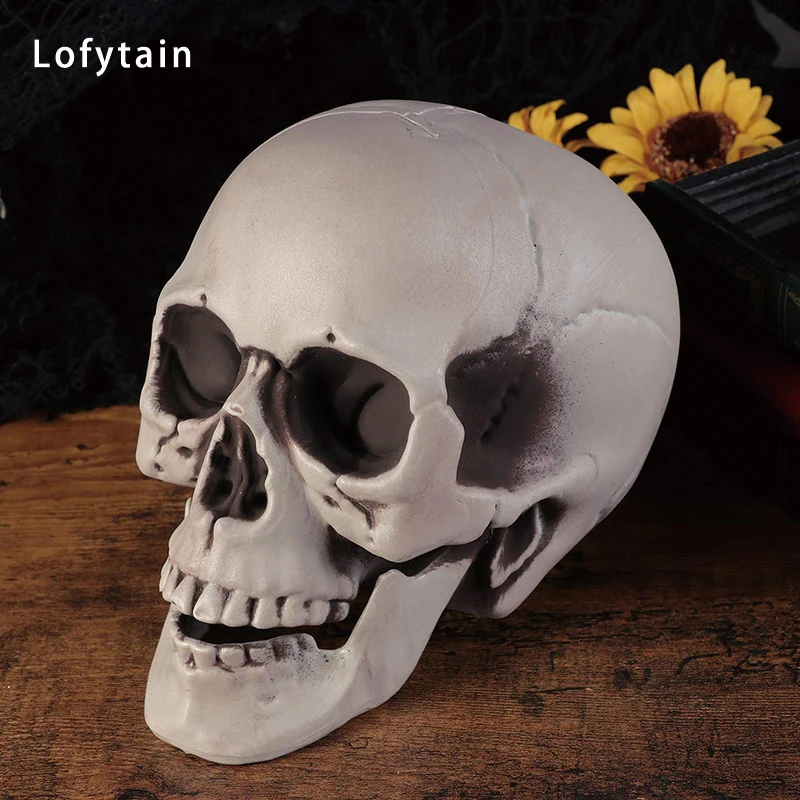 Lofytain Halloween Decorations Artificial Skull Head Model Plastic Skull Bone Horror Skeleton Model for Bar Party Home Decor
Lofytain Halloween Decorations Artificial Skull Head Model Plastic Skull Bone Horror Skeleton Model for Bar Party Home Decor