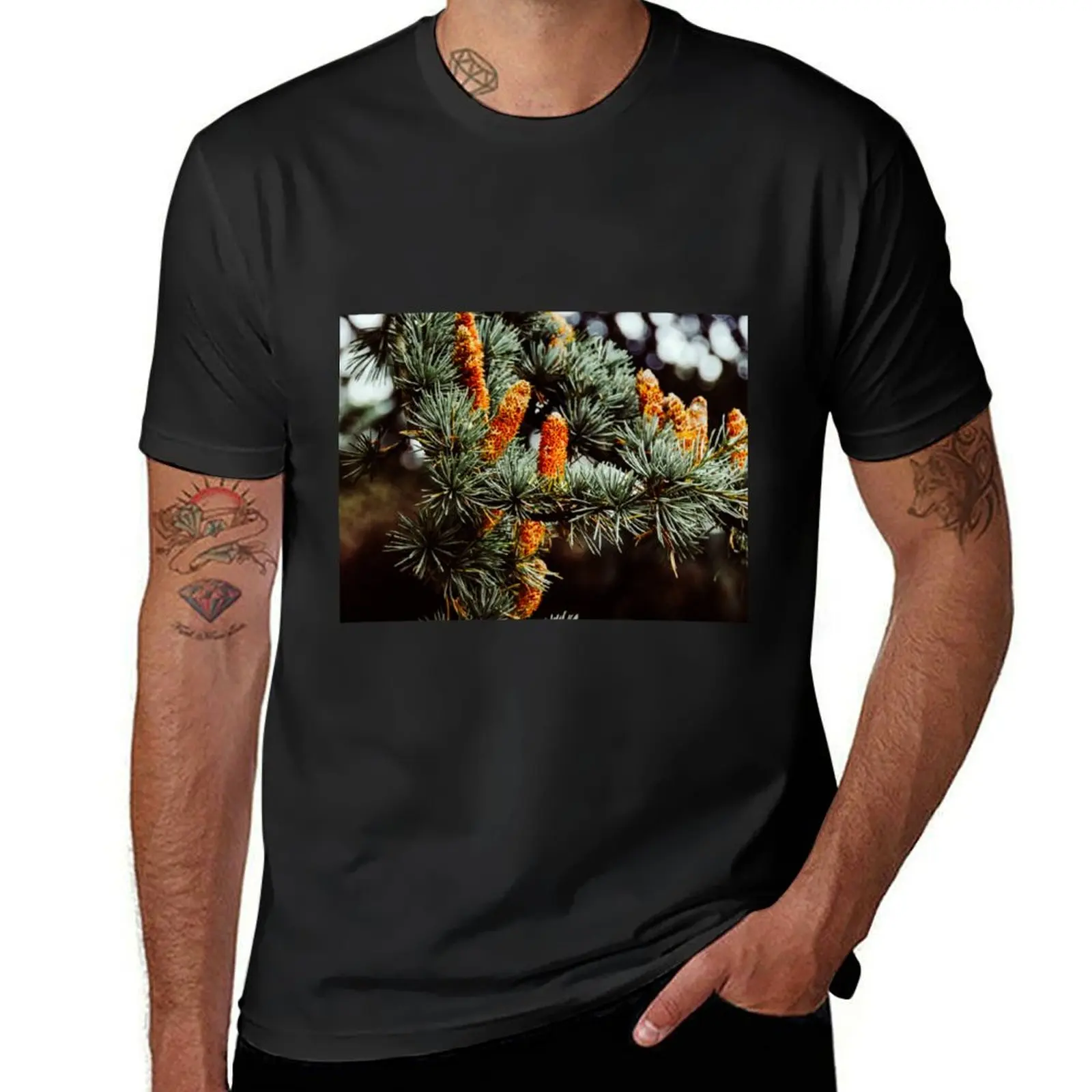 Autumn Colours T-Shirt plain summer clothes summer top customs mens vintage t shirts
Autumn Colours T-Shirt plain summer clothes summer top customs mens vintage t shirts