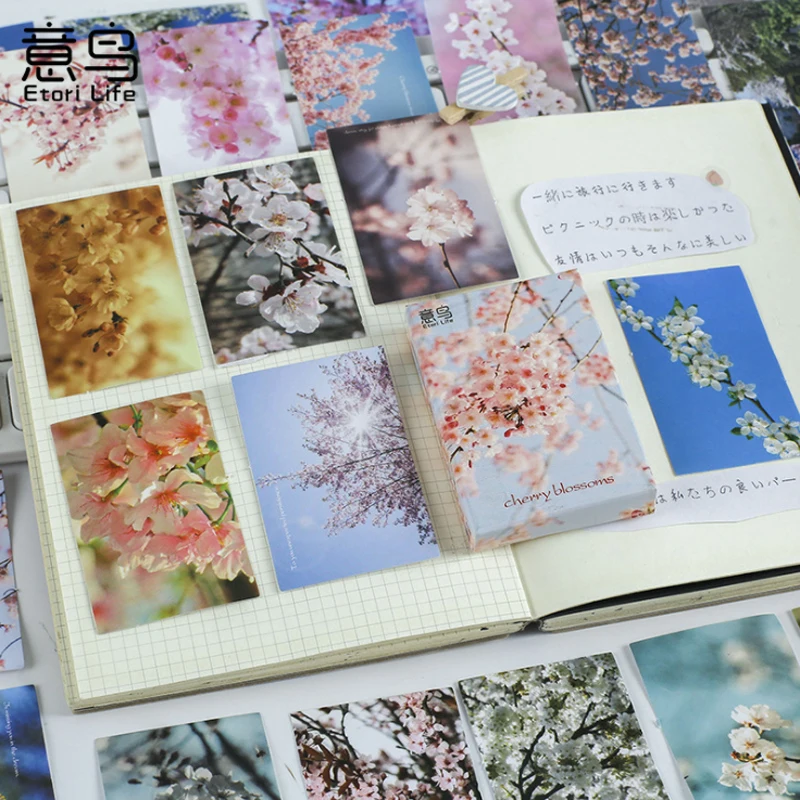 30pcs per pack Sakura Words Boxed Stickers Kawaii Handbook Album Items Decorative Scrapbooking Stickers Gifts for Kids
30pcs per pack Sakura Words Boxed Stickers Kawaii Handbook Album Items Decorative Scrapbooking Stickers Gifts for Kids