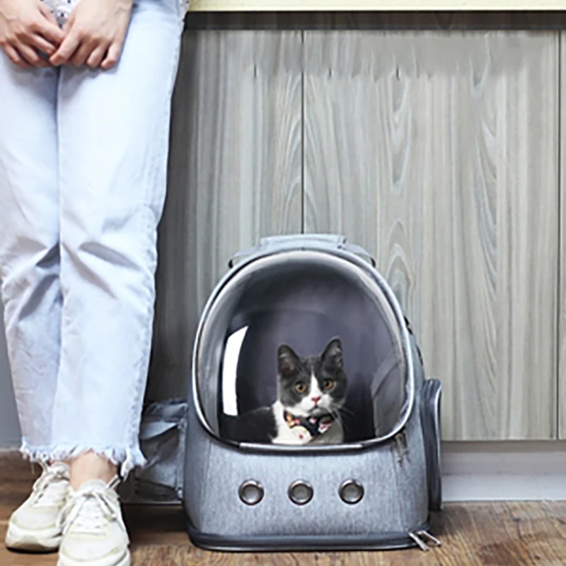 Cat Backpack Transparent Cats Bag Go Out Portable Space Capsule Summer Breathable Dog Large Capacity Storage Pet Backpacks
Cat Backpack Transparent Cats Bag Go Out Portable Space Capsule Summer Breathable Dog Large Capacity Storage Pet Backpacks