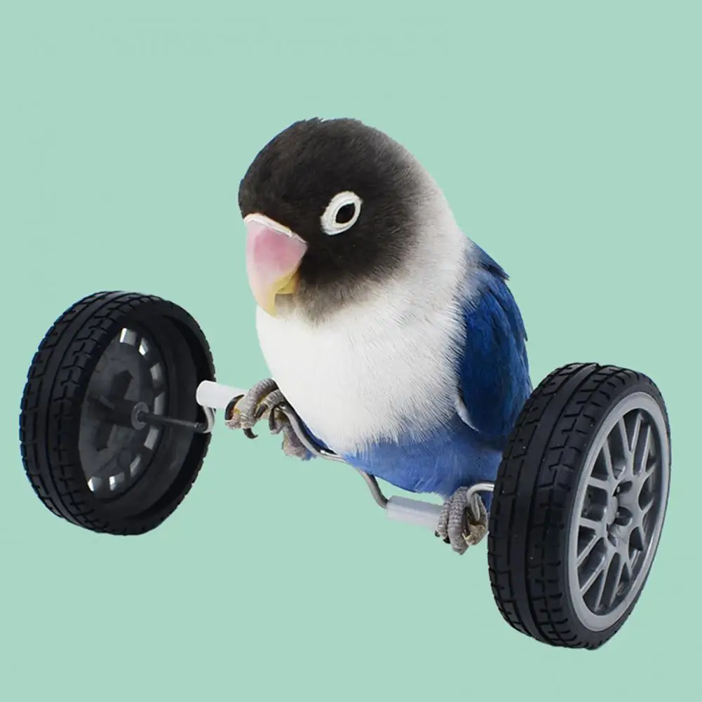 Parrot Toy Pet Training Toy Mini Double Row Roller Skates for Parrots Enhance Bird Intelligence with Rotary Wheels Bird Training
Parrot Toy Pet Training Toy Mini Double Row Roller Skates for Parrots Enhance Bird Intelligence with Rotary Wheels Bird Training