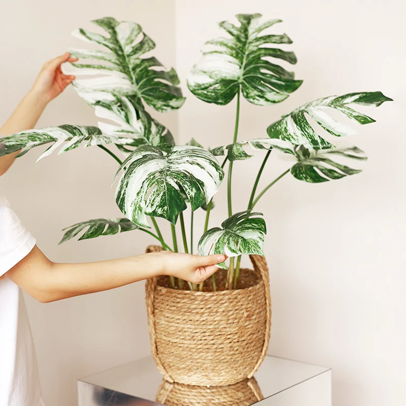3pcs/Lot Large Artificial Plants Branch Tropical Fake Monstera Tree Big Palm Leaves Plastic Turtle Leaf For Home Christmas Decor
3pcs/Lot Large Artificial Plants Branch Tropical Fake Monstera Tree Big Palm Leaves Plastic Turtle Leaf For Home Christmas Decor