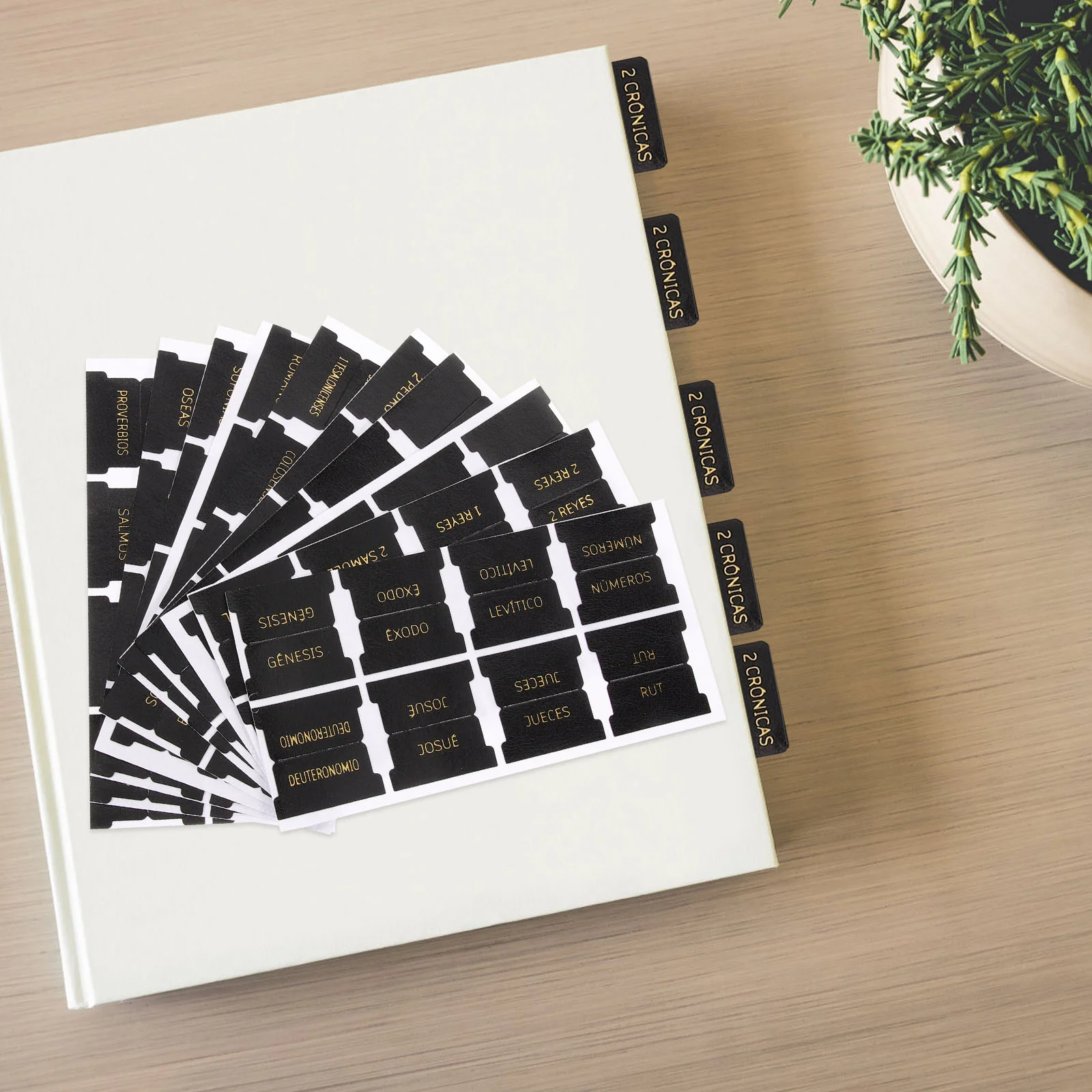 80 Pcs Bible Labels Men's and Women's Study Index Book Tabs for Sturdy Blank Tag
80 Pcs Bible Labels Men's and Women's Study Index Book Tabs for Sturdy Blank Tag