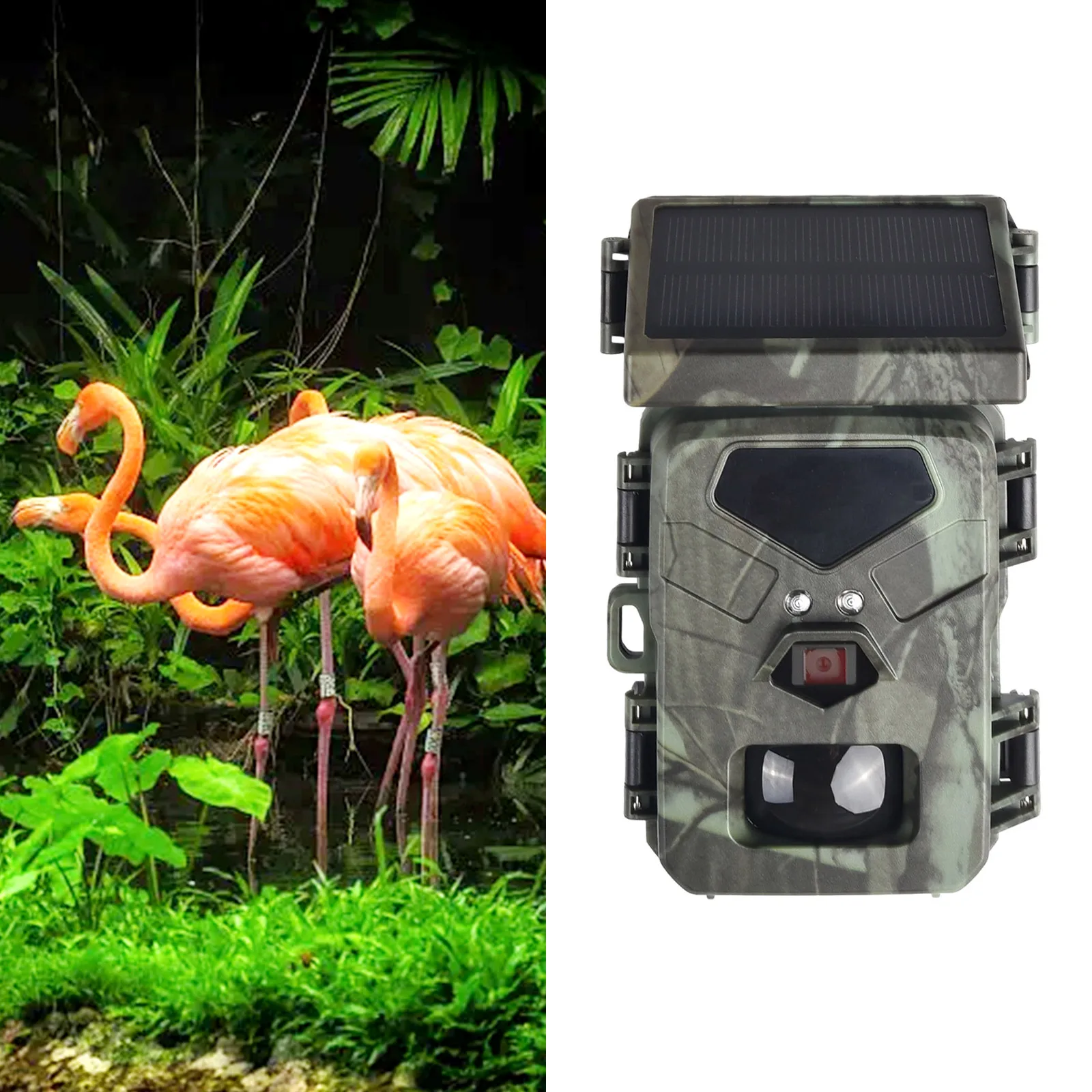 Wild Animal Detector Hunting Trail Camera 1080P/720P/VGA 20/16/12MP Hunting Camera IP65 Night Vision Universal
Wild Animal Detector Hunting Trail Camera 1080P/720P/VGA 20/16/12MP Hunting Camera IP65 Night Vision Universal