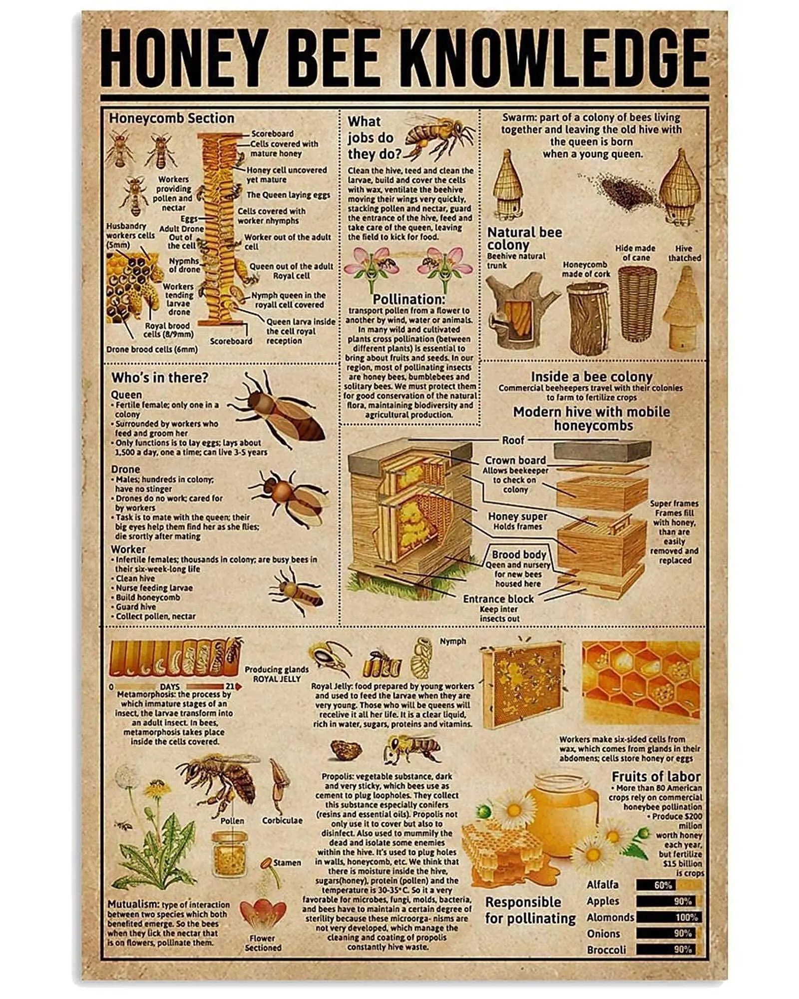 Veidsuh Honey Bee Knowledge 1 Vintage Novelty Funny Home Bathroom Cottage Farm Rustic Man Cave Parlor Retro Tin Sign Mural Wall
Veidsuh Honey Bee Knowledge 1 Vintage Novelty Funny Home Bathroom Cottage Farm Rustic Man Cave Parlor Retro Tin Sign Mural Wall