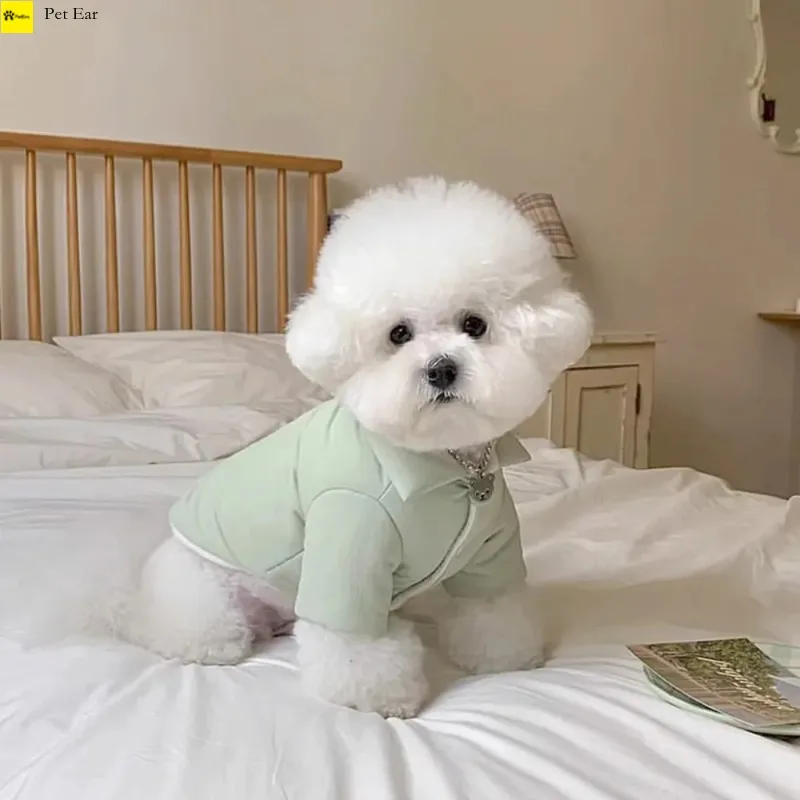 Puppy Sweater Fashion Warm Winter Cat Jacket Pet Cute Dog Desinger Clothes Coat Harness Chihuahua Poodle Pomeranian
Puppy Sweater Fashion Warm Winter Cat Jacket Pet Cute Dog Desinger Clothes Coat Harness Chihuahua Poodle Pomeranian