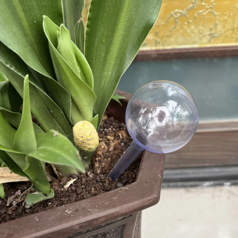 Watering Globe Plant Watering Bulb 13x5cm 5colors Efficient Irrigation Moisture Retention Plastic Self Watering Design Durable
Watering Globe Plant Watering Bulb 13x5cm 5colors Efficient Irrigation Moisture Retention Plastic Self Watering Design Durable