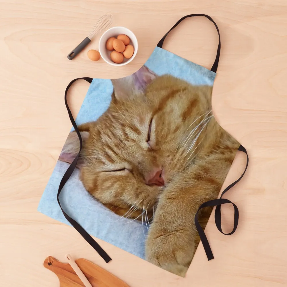 

Sleeping Cat Apron Barber man chef uniform For Men Apron