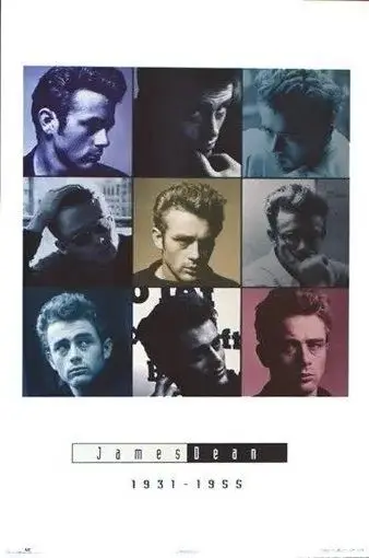 

JAMES DEAN COLLAGE POSTER 1931 1955 Rare New 24x36