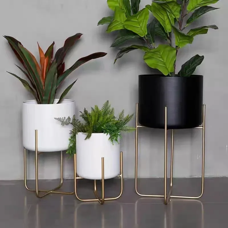 Nordic Indoor Gold Iron Art Floor Type Flower Rack Balcony Plant Decoration Shelf Home Flowerpot Stand Stylish DisplayElegance
Nordic Indoor Gold Iron Art Floor Type Flower Rack Balcony Plant Decoration Shelf Home Flowerpot Stand Stylish DisplayElegance