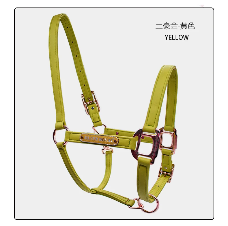 S60813307ee8f4d8e8806a1fb4dca3aa13